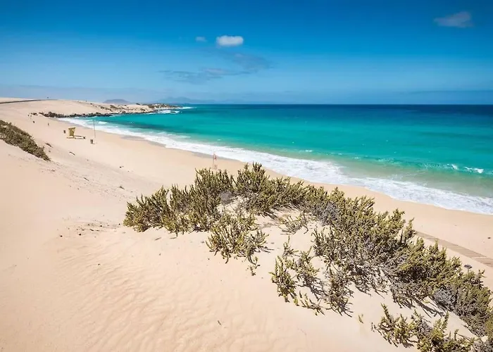 아파트 B-rent Casa Bonita