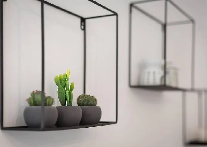 아파트 B-rent Casa Bonita 코라레호